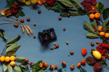 sonbahar arka plan fotoğraf makinesi sarı ve kırmızı yaprakları çilek meyve fındık