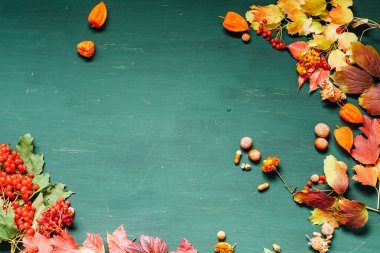 meyve somun sonbahar arka plan sarı ve kırmızı yaprakları