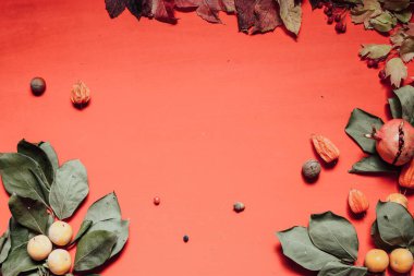 çilek meyve somun sonbahar arka plan sarı ve kırmızı yaprakları