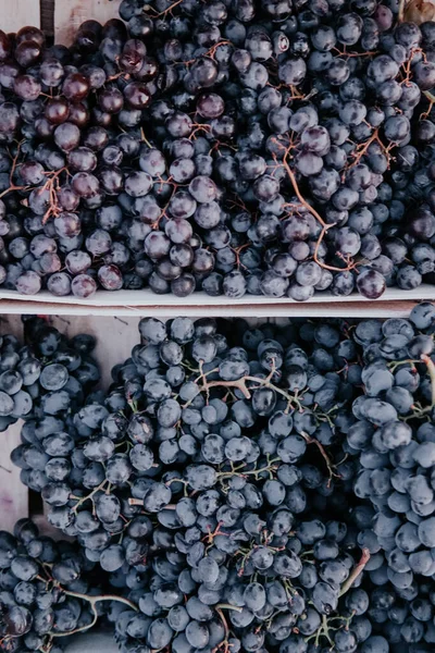 Cajas de uvas maduras después de la cosecha — Foto de Stock