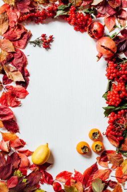 Kırmızı yaprakları ve beyaz arka plan kayıtlarda olgun çilek