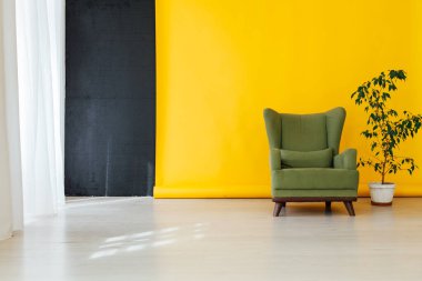 Odanın içinde sarı arka planlı bir koltuk ve ev bitkisi var.