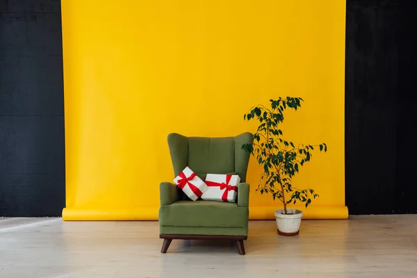 Křeslo s domácí rostlinou v interiéru místnosti se žlutým pozadím — Stock fotografie