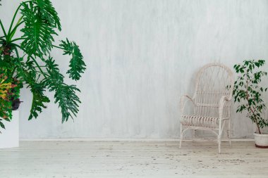 Gri odanın içinde ev bitkileri olan beyaz sandalye.
