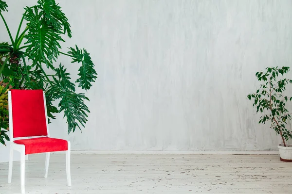 red chair with home plants in the interior of the gray room