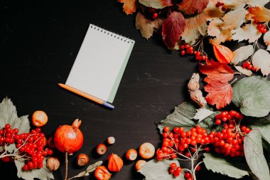 meyve fındık renkli yaprakları üzerinde arka plan Kahvaltı Öğle Yemeği akşam yemeği için