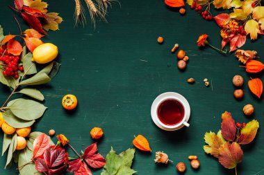 sonbahar yaprakları sarı ve kırmızı ve yeşil bir arka plan üzerinde meyve