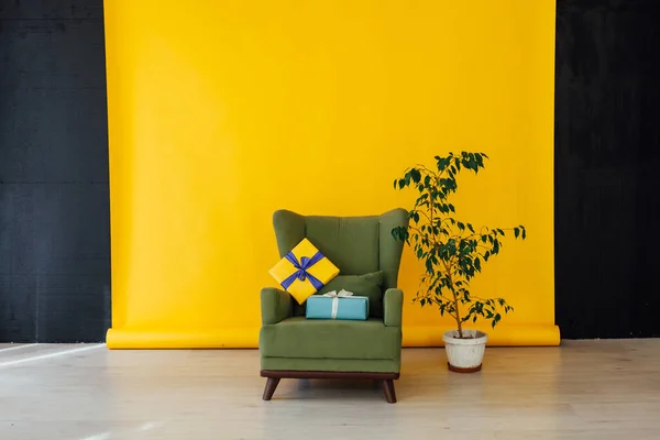 Silla Con Planta Casera Verde Interior Con Fondo Amarillo —  Fotos de Stock