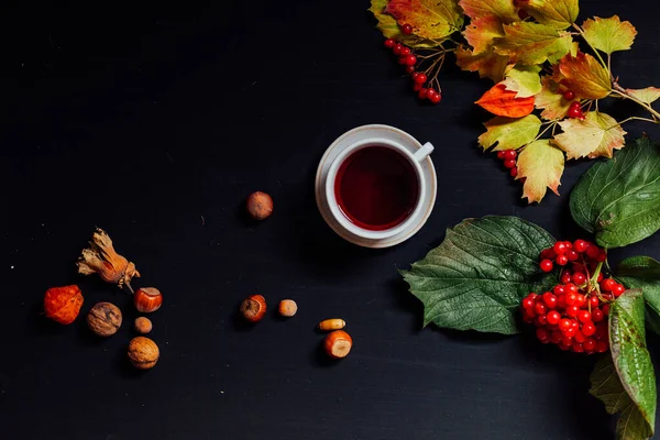 Jesienne liście żółte i czerwone orzechów czarny filiżanka herbaty — Zdjęcie stockowe