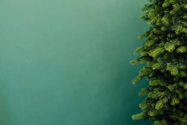 Weihnachtsbaum Mit Geschenken Für Das Neue Jahr Dekor Grünen Hintergrund — Stockfoto