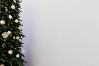 Yılbaşı ağacı çam ağacının dalları Yeni yıl için beyaz arka plan yazıtları için