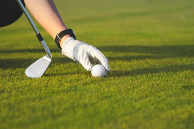Golf topunu golf sahasına koyuyor.
