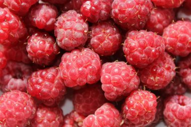 Ahududu meyveleri kase parlak yazıldığından.