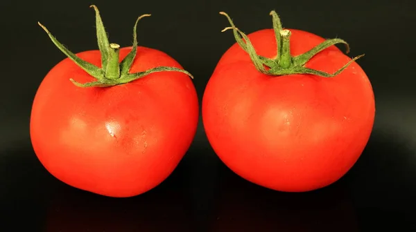 Tomates maduros . — Foto de Stock