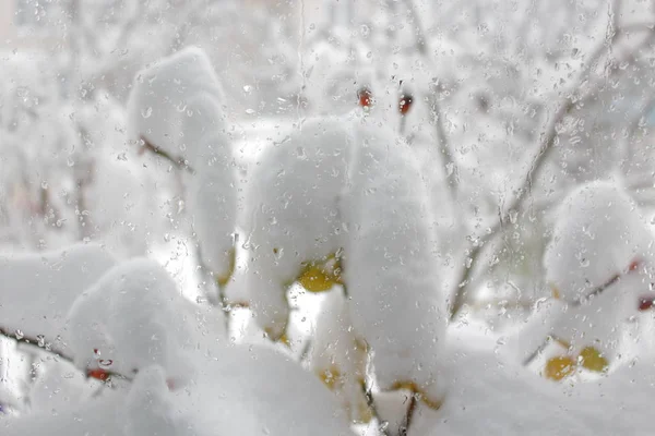 Snö och is. — Stockfoto