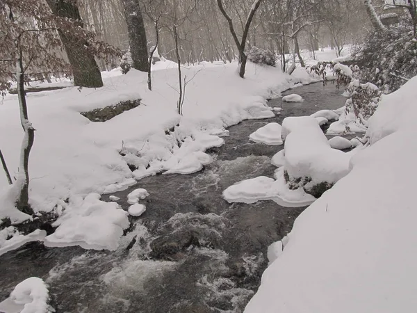 Río del bosque en invierno . — Foto de Stock