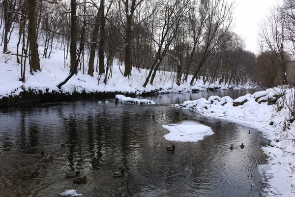 Brücke Über Den Fluss Dekorativer Wasserfall Winterpark Winternatur Der Westukraine — Stockfoto