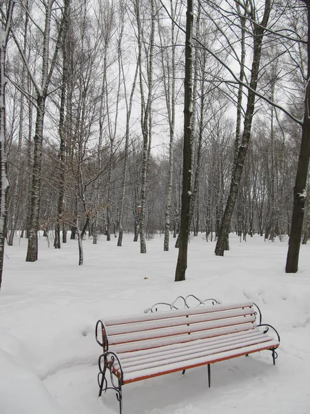 Ulica Ławkami Odpoczynku Rodzice Dziećmi Dzień Śnieżnej Zimie Snowy Ścieżki — Zdjęcie stockowe