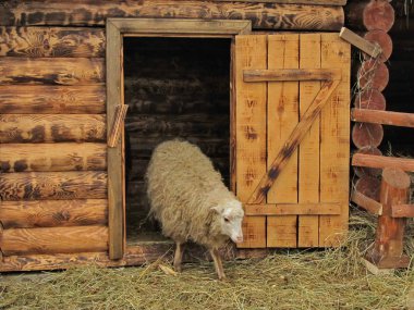  Sayfaları bir ahşap ev.