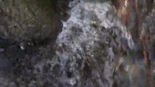 河流的快速流动 清澈的水流经河底的石头 — 图库视频影像