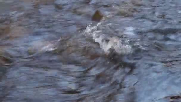 Snelle Stroom Van Rivier Schoon Helder Water Stroomt Door Stenen — Stockvideo