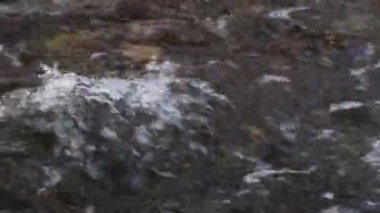Nehrin hızlı akışı. Nehrin dibinde taş üzerinden temiz ve berrak su akışı.