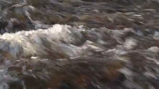 Snelle Stroom Van Rivier Schoon Helder Water Stroomt Door Stenen — Stockvideo