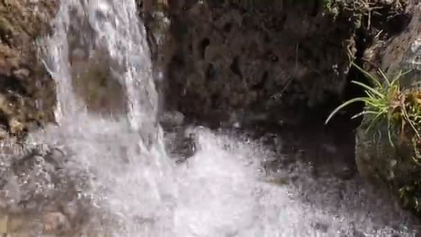 Limpe Água Transparente Fonte Florestal Com Água Cristalina Água Fria — Vídeo de Stock