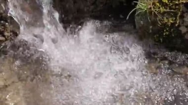 Şeffaf suyu temizleyin. Kristal berraklığında su ile orman kaynağı. Kaynar soğuk su. Asmail şelaletemiz su. Orman deresinin kıyısında. Temiz bir soğuk kaynaktan içmek için su. Batı Ukrayna'nın Doğası.