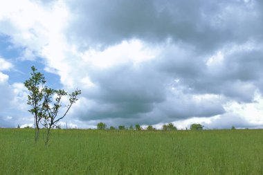 Sahada bulutlu bir gün. 