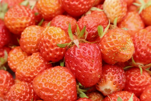Erdbeeren genommen. Stockbild