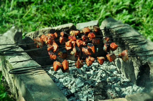 Shish Kebab Natuurlijke Omstandigheden Eten Met Rust Spies Met Vlees — Stockfoto