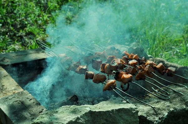 Shish Kebab Természetes Körülmények Között Étel Pihenéssel Húsos Nyársak Főzés — Stock Fotó