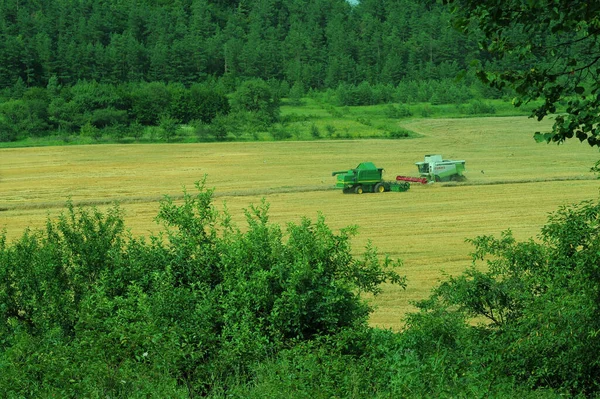 Buğday Hasadı Tarım Makineleri Çalışıyor Ukrayna Nın Tarlalarında Telefon Tabletler — Stok fotoğraf