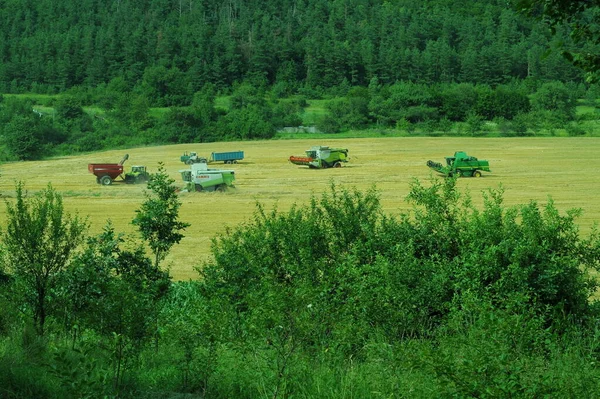 Récolte Blé Machines Agricoles Travail Dans Les Champs Ukraine Contexte — Photo