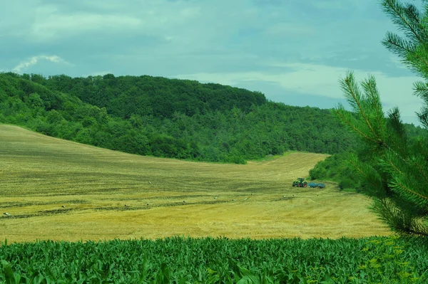 Récolte Blé Machines Agricoles Travail Dans Les Champs Ukraine Contexte — Photo