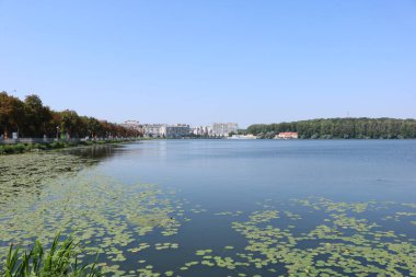 Ternopil 'de oldu. Ternopil 'in telefon ve Ternopil manzaralı arka planı. Ternopil Emlak' ın seti. Güneşli bir sabah. Sahada sabah sisi. Batı Ukrayna 'nın manzarası. 