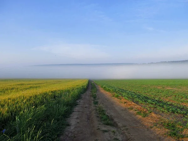 ブラジルのVerbivの村で日の出 朝の夏は霧が晴れる朝 朝の霧のフィールドです ウクライナ西部の風景 — ストック写真