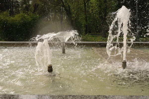 Cascadas Ternopil Vacaciones Familiares Junto Agua Mañana Soleada Verano Niebla — Foto de Stock