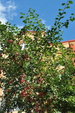 Modern mimaride düz çizgiler. 21. yüzyılda Ternopil mimarisi.  