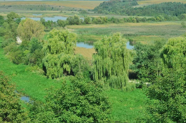 Reservatórios Naturais Ternopil Fundo Com Lagoa Brzezany Telefone Tablet Rio — Fotografia de Stock