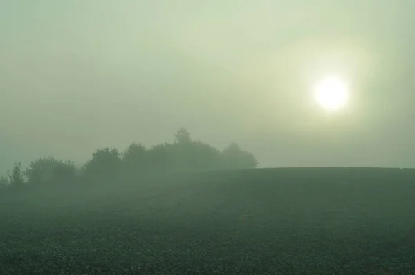 Mlhavého Rána Vychází Slunce Přírodní Zázemí Pro Telefony Tablety Les — Stock fotografie
