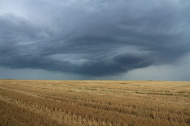 Sonbahar fırtınası. Telefonlar ve tabletler için sonbahar fırtınalı gökyüzü.