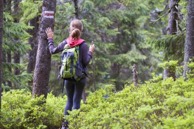 Sopa ve yürüme sırt çantası ile ince atletik sarışın turist uzun yürüyüşe çıkan kimse kızın arkadan görünüm güneş yoğun herdem yeşil dağ çamı ormanıyla yaktı. Turizm, seyahat, hiking ve sağlıklı yaşam konsepti.