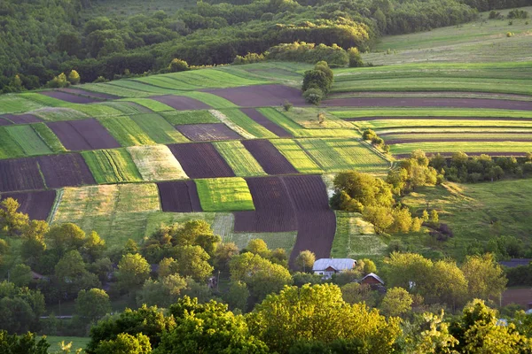 Güzel huzurlu çok renkli yamalı havadan görünümü karanlık sürülmüş ve yeşil alanları, ağaçlar, çalılar ve orman parlak güneşli bahar ya da yaz günü. Güzellik, Doğa, tarım ve tarım kavramı.