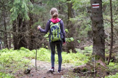 Sopa ve yürüme sırt çantası ile ince atletik sarışın turist uzun yürüyüşe çıkan kimse kızın arkadan görünüm güneş yoğun herdem yeşil dağ çamı ormanıyla yaktı. Turizm, seyahat, hiking ve sağlıklı yaşam konsepti.