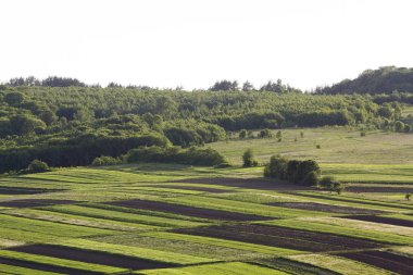 Hava geniş kırsal bahar tarafından yoğun orman tarafından çevrili güneş yaktı renkli dikdörtgen sürülmüş ve yeşil alanları Panoraması. Güzellik ve uyum doğa kavramının.
