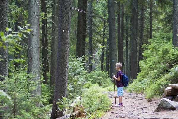 Uzun yürüyüşe çıkan kimse sırt çantası ve sopa üzerinde tek başına duran genç şirin çocuk çocuk tarafından parlak güneş dağ dar yolu sık çam ormanı içinde sıcak yaz gününde yaktı. Turizm ve etkin çocukluk yaşam tarzı kavramı.