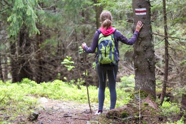 Sopa ve yürüme sırt çantası ile ince atletik sarışın turist uzun yürüyüşe çıkan kimse kızın arkadan görünüm güneş yoğun herdem yeşil dağ çamı ormanıyla yaktı. Turizm, seyahat, hiking ve sağlıklı yaşam konsepti.