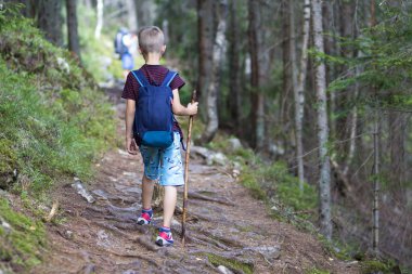 Arkadan görünüşü uzun yürüyüşe çıkan kimse sırt çantası ve sopa yalnız aracılığıyla parlak güneş dağ sık çam ormanı tarafından sıcak yaz gününde yaktı seyahat bir genç çocuk çocuk. Turizm ve etkin çocukluk yaşam tarzı kavramı.